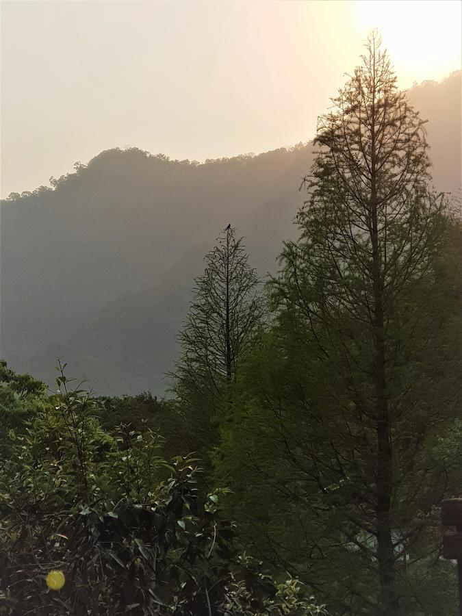 Aroundthetree Hermitage Shitan Esterno foto